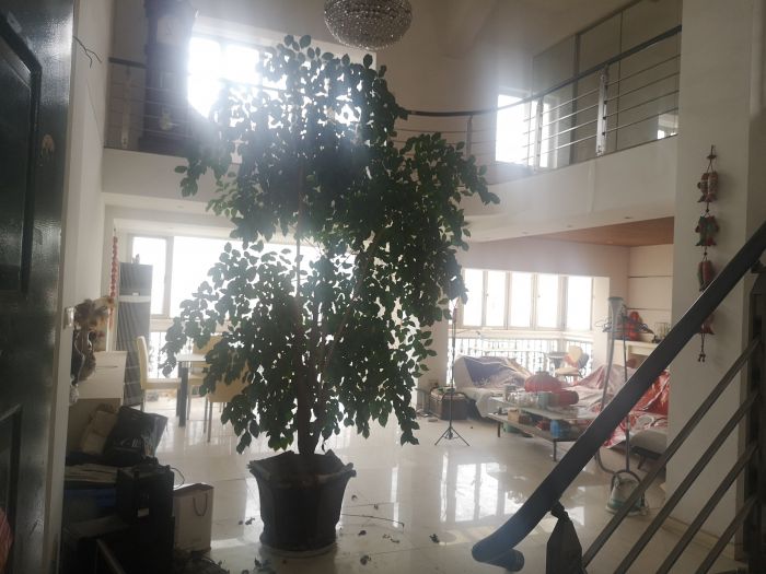 友谊公寓 3室2厅2卫 219m&sup2;