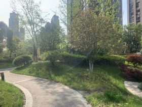 桂花小镇 3室2厅2卫 130m&sup2;