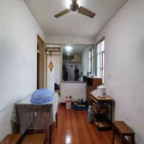 虹桥南村 2室1厅1卫 53.22m²