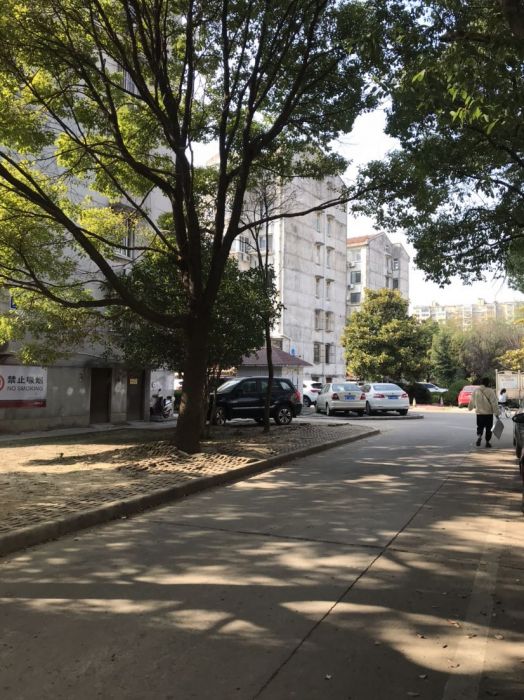 外滩小区 1室1厅1卫 67m&sup2;