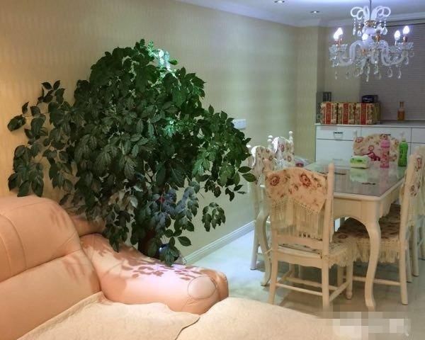 鸿运大厦 4室2厅2卫 158m&sup2;