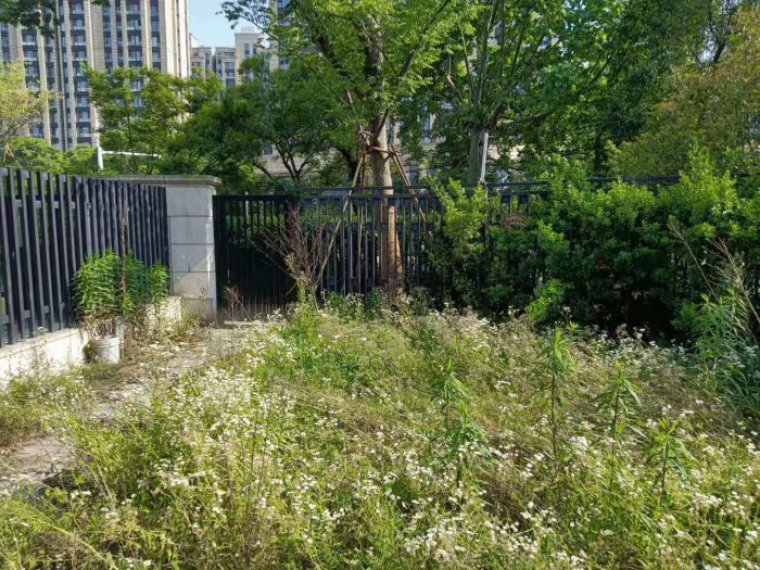 城山隐花苑 6室4厅4卫 290m&sup2;