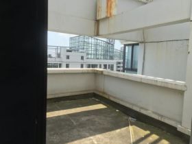 七星花园 1室厅卫 247.82m&sup2;
