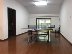 东城花园 5室2厅2卫 218.5m²