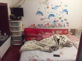 城港花苑 3室2厅2卫 86m&sup2;