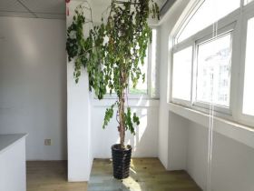 春晖花园 2室2厅1卫 103m&sup2;