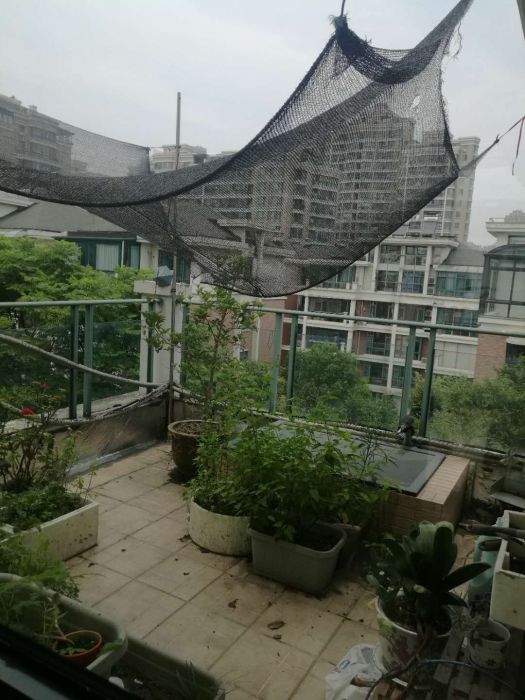 凤凰莱茵苑 4室2厅2卫 247m&sup2;