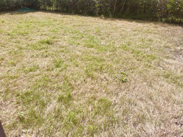 中海铂樾府 5室2厅1卫 210.00m&sup2;