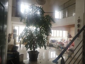 友谊公寓 3室2厅2卫 219m&sup2;