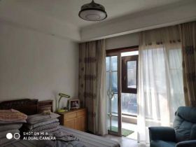 金河名人世家 5室2厅3卫 240.00m²