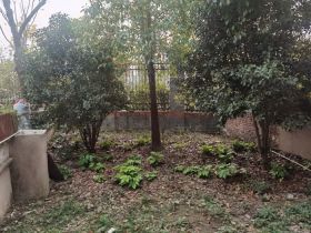 南通壹城水清木华 5室2厅3卫 239.00m&sup2;