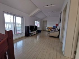 城南小苑 3室2厅2卫 199m²