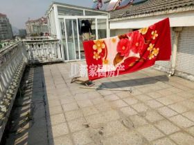 新星苑 5室1厅2卫 180m&sup2;
