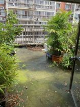 隆兴佳园 2室2厅1卫 140.00m&sup2;