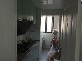星竹花园 1室1厅1卫 50m&sup2;