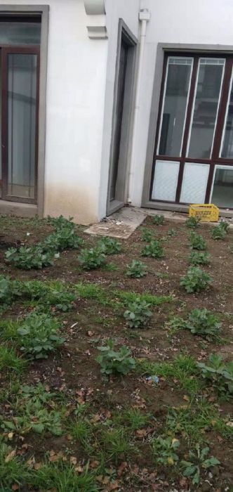 九间堂山居 5室3厅4卫 250m&sup2;