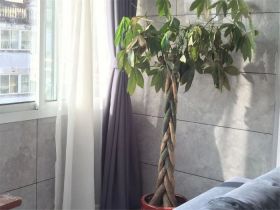金辉花园 2室1厅1卫 80.00m&sup2;