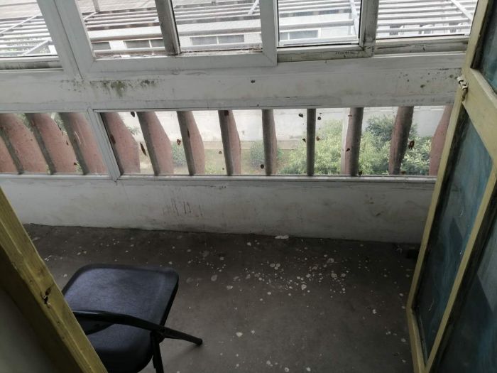 公园二村 1室1厅1卫 50m&sup2;