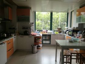 凤凰莱茵苑 4室2厅2卫 247m&sup2;